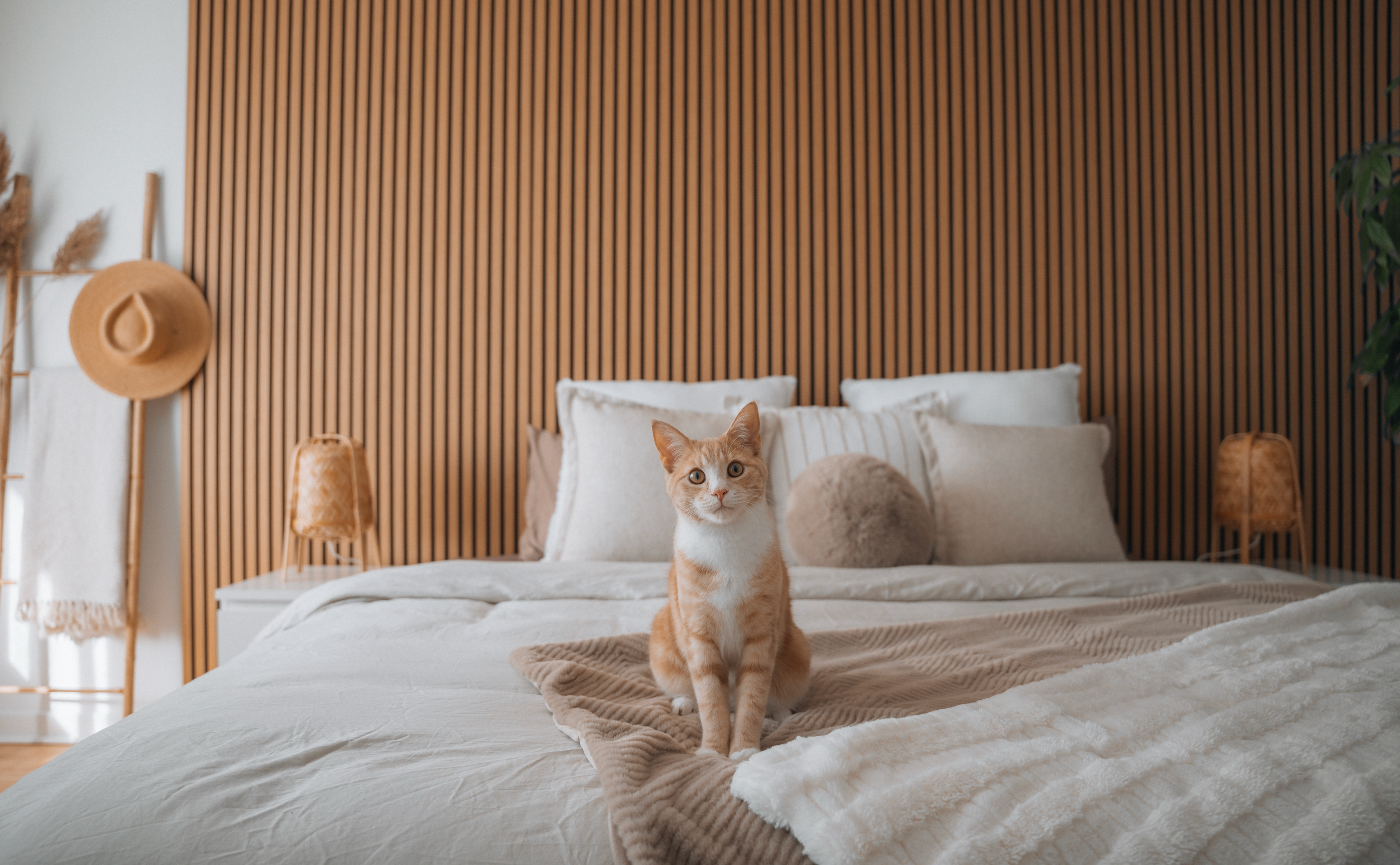 Transform Your Bedroom with PANELUX™: Wood Wall Panelling Ideas for the Ultimate Sanctuary